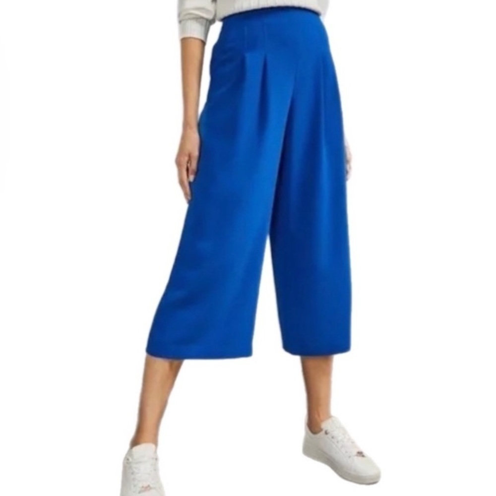 Ted Baker London Zettah Pleated Culotte Pants NWT